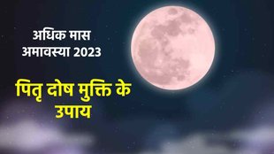 adhik maas amavasya 2023, adhik maas amavasya 2023 ki date, pitru dosh