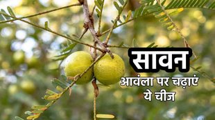 sawan 2023, sawan 2023 date, sawan 2023 upay