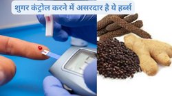शुगर कंट्रोल करने के लिए हमेशा दवाईयों और इंसुलिन पर रहते हैं निर्भर, इस 1 आयुर्वेदिक काली हर्ब्स का करें सेवन, Blood Sugar स्पाइक का नहीं रहेगा खतरा