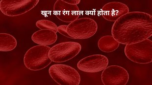 how to increase blood flow during periods, medicine to increase blood flow during periods, herbs to increase menstrual flow, hemoglobin levels, Normal haemoglobin level,