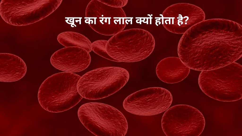 how to increase blood flow during periods, medicine to increase blood flow during periods, herbs to increase menstrual flow, hemoglobin levels, Normal haemoglobin level,