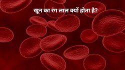 क्या आपको पता है खून का रंग लाल पर नसें नीली क्यों होती है? वैज्ञानिक कारण जान रह जाएंगे दंग, बेहद सिंपल है समझना