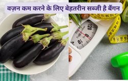 Nutrition alert: 100 ग्राम बैंगन नसों में जमा गंदगी को करता है साफ, दिल की सेहत करता है दुरुस्त, मोटापा और शुगर का भी होता है खात्मा
