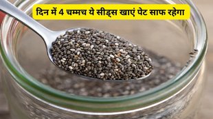 omega-3 fatty acids, health tips, chia seeds, chia seeds in hindi, chia seeds benefits, chia seeds benefits in hindi,
