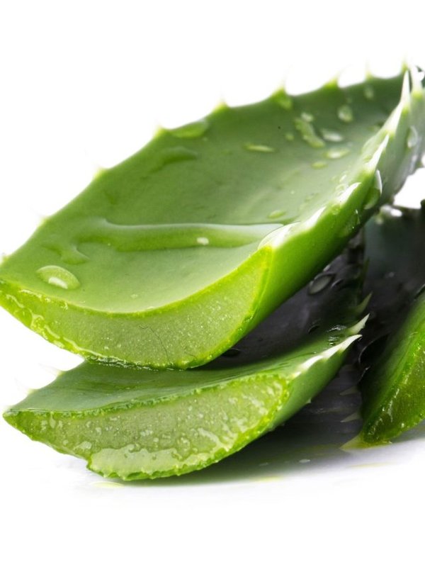 Benefits of Aloe vera (6)