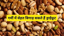 गर्मी में भूलकर भी न करें इन 4 ड्राई फ्रूट्स का सेवन, शरीर के तापमान का बढ़ा देंगे पारा, इतनी मात्रा से ज्यादा नुकसान
