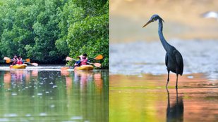 Kayaking point of Karnataka is no less than heaven on earth, see beautiful pictures