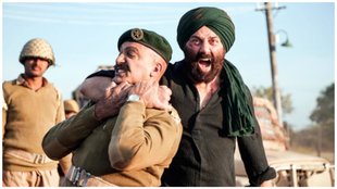 Gadar 2 Box Office Collection, Sunny Deol, Bollywood