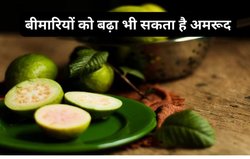 फायदे के साथ-साथ नुकसान भी करता है अमरूद, इन 5 बीमारियों में बॉडी पर करता है ज़हर की तरह असर, जानिए कैसे