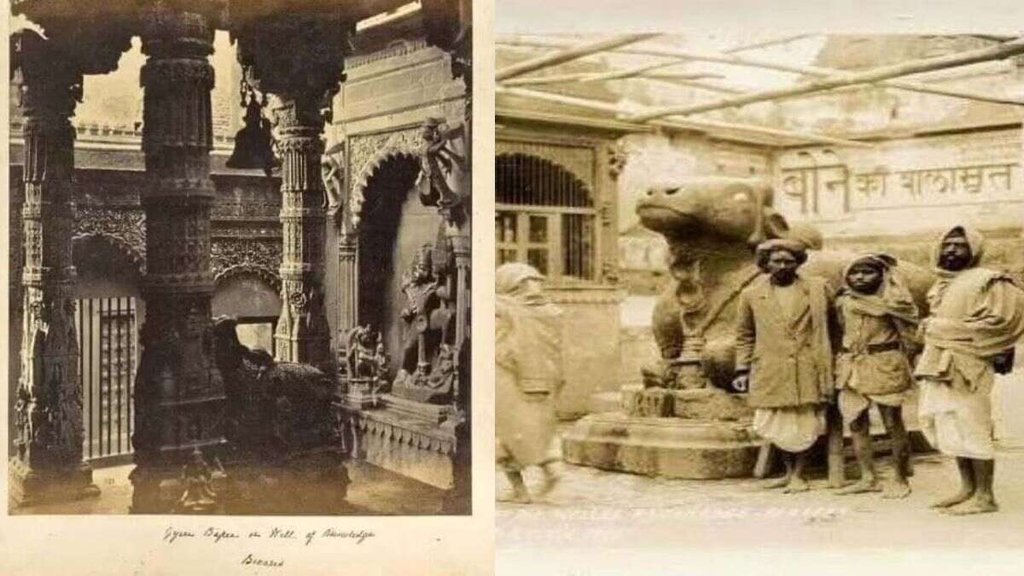 gyanvapi masjid, gyanvapi ASI survey