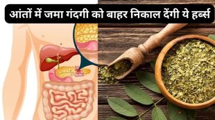 Ayurvedic Home Remedies, Home Remedies, Ayurvedic, Ayurved, Ayurveda, Constipation And Acidity, Constipation, Acidity, Ayurvedic Remedies, Ayurvedic Remedies for Constipation,