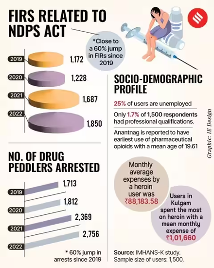 socio-demographic profile of users