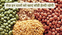 ये 3 दालें दिन भर के खाने में एक बार जरूर खाएं, बॉडी में कमजोरी, थकान, कैल्शियम और खून की कमी सालों साल नहीं होगी, जानिए कितना सेवन है जरूरी