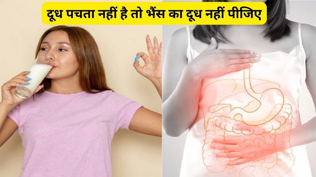 Benefits of Drinking Milk Before Bed, Benefits of warm Milk, Health News, हेल्थ टिप्स, हेल्थ न्यूज, गर्म दूध पीने के फायदे,