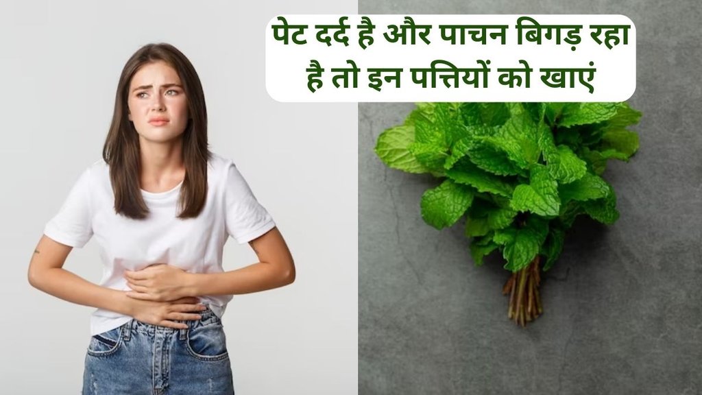 Mint Benefits in summer, Mint Benefits in Hindi, pudina ke fayde, health benefits of mint,