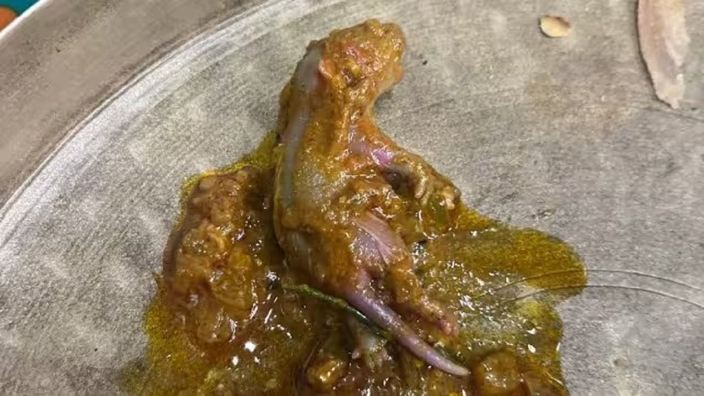 dead rat in bandra restaurant food