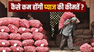 onion prices | export duty