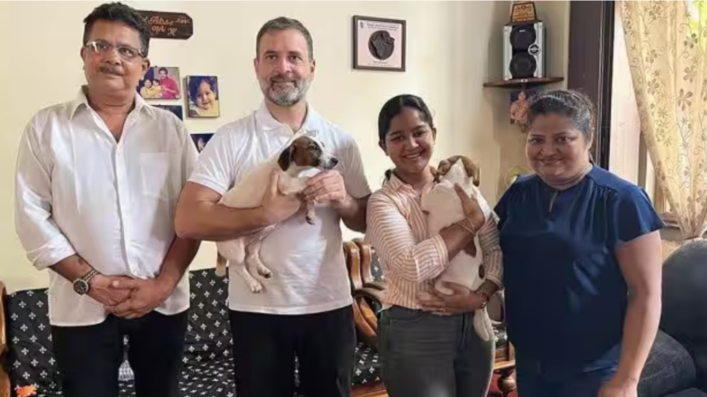 RAHUL GANDHI