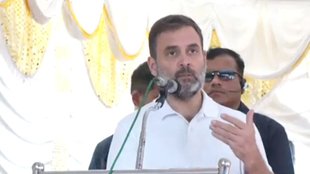 rahul gandhi| congress|