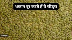 हर वक्त थकान आप पर हावी रहती है, काम करते हुए नींद के झोंके आते हैं, इन खास सीड्स का करें सेवन, तुरंत दिखेगा असर