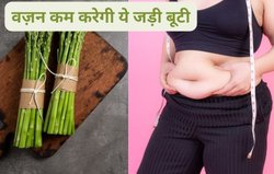 शरीर में इन 4 जगहों पर होती है सबसे जिद्दी चर्बी, ये 1 आयुर्वेदिक जड़ी बूटी चूस लेगी सारा फैट, 1 महीने में ही दिखेगा असर