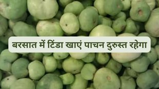 tinda nutritional profile, tinda for diabetics,टिंडा के सेहत के लिए फायदे,टिंडा सेहत के लिए कैसे फायदेमंद है