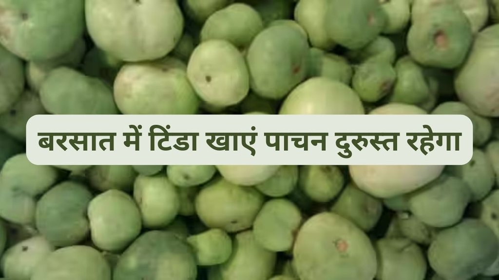 tinda nutritional profile, tinda for diabetics,टिंडा के सेहत के लिए फायदे,टिंडा सेहत के लिए कैसे फायदेमंद है