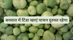 100 ग्राम गोल मटोल टिंडा मोटापा पर करता है सीधा वार, Blood Pressure में भी है असरदार, एक्सपर्ट से जानिए 4 फायदे