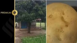 16 दिसंबर दुष्कर्म: 50 लोगों से पूछताछ पर भारी काटने का एक निशान, बुलंदशहर पुलिस ने कैसे ब्लाइंड मर्डर केस को सुलझाया