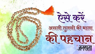 fake Tulsi Mala, Tulsi Mala, Tulsi Mala Benefis, identify real or fake Tulsi Mala,
