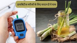 डायबिटीज मरीजों के लिए वरदान साबित हो सकती है ये घास, इंसुलिन इंजेक्शन से दिला देगी छुटकारा