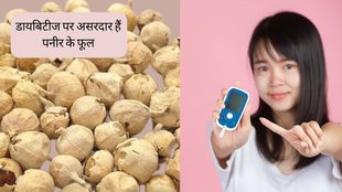 paneer ke phool । Diabetes । Diabetes Treatment