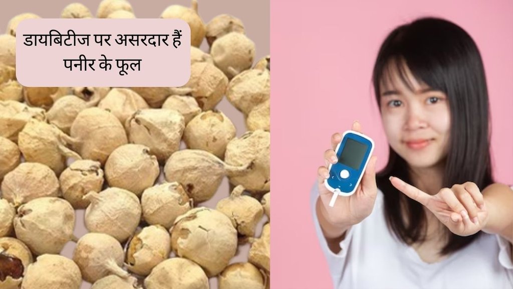 paneer ke phool । Diabetes । Diabetes Treatment