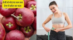 Kokum For Weight Loss: भारी शरीर को महीनेभर में फिट बना देगा सेब की तरह दिखने वाला ये फल, नहीं पड़ेगी जिम और डाइटिंग की जरूरत