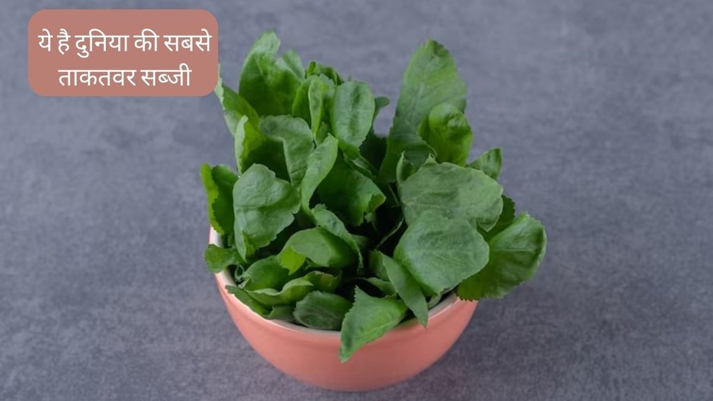 World's Healthiest Vegetable । Watercress । CDC