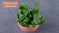 World’s Healthiest Vegetable: ये है दुनिया की सबसे ताकतवर सब्जी, 10 गंभीर बीमारियों पर दवा की तरह करती है असर, CDC ने भी माना लोहा