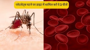 Dengue । Dengue Diet । How to increase platelets in dengue