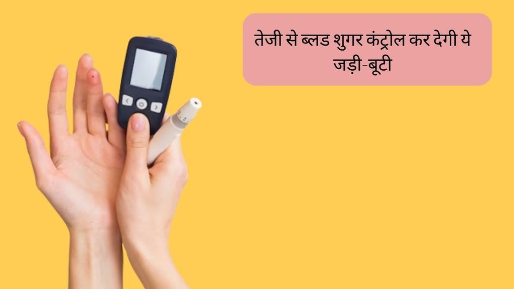 Ayurveda for Diabetes । Diabetes । Chirata For Diabetes