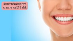 रोज ब्रश करने के बाद भी दांतों पर जमी है पीली परत? इन नेचुरल तरीकों से टूथपेस्ट की भी नहीं पड़ेगी जरूरत, मोती जैसे चमक उठेंगे Teeth