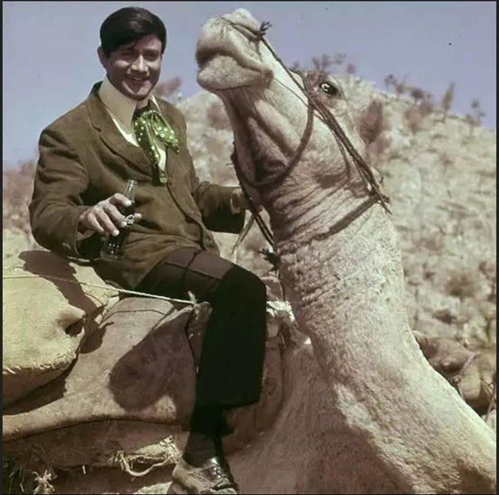 dev anand