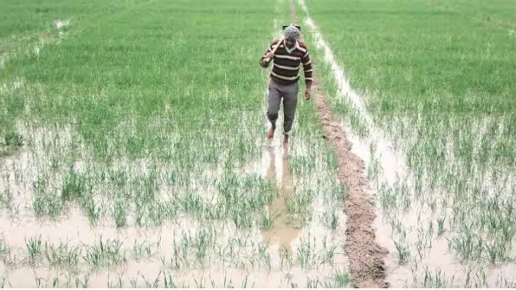 FARMERS |