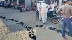 खाद के लिए जूते चप्पल की लगी लाइन, वीडियो हो रहा वायरल; राकेश टिकैत ने ‘गुजरात मॉडल’ पर कसा तंज