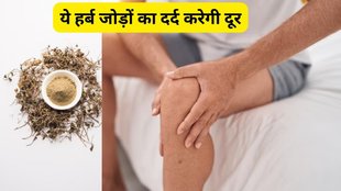 gokhru for uric acid control, uric acid control ayurvedic remedies, यूरिक एसिड कंट्रोल करने के आयुर्वेदिक नुस्खे, यूरिक एसिड को कैसे कंट्रोल करें,