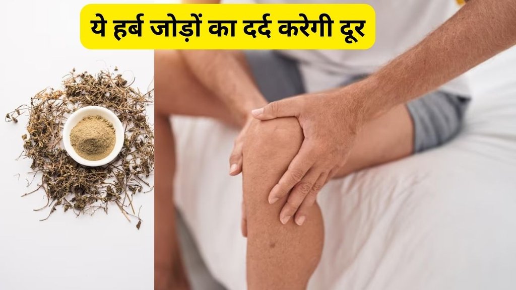 gokhru for uric acid control, uric acid control ayurvedic remedies, यूरिक एसिड कंट्रोल करने के आयुर्वेदिक नुस्खे, यूरिक एसिड को कैसे कंट्रोल करें,