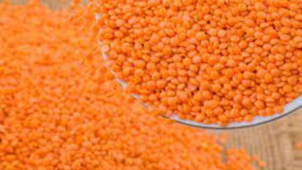 LENTIL PRICES | INDIA | CANADA |