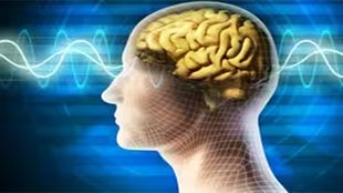 Mind and Brain