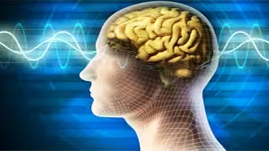 Mind and Brain