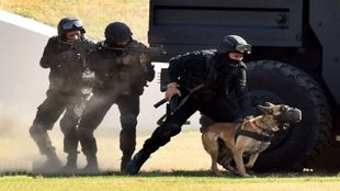 G20 Summit | NSG | NSG K-9 Unit
