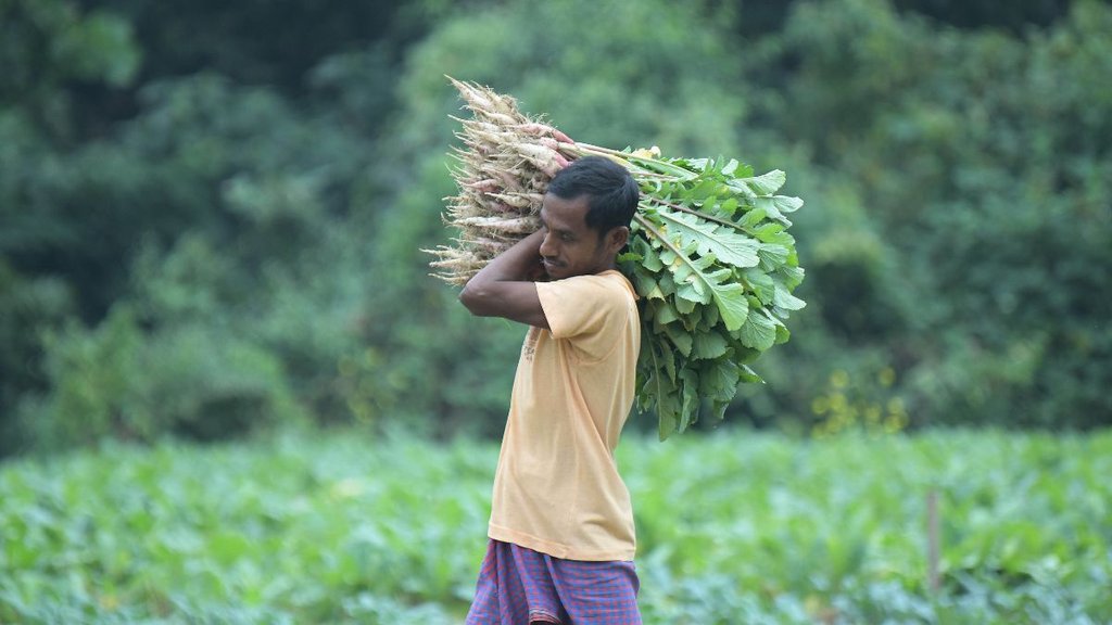 PM KISAN, PM KISAN News, PM KIsan Samman