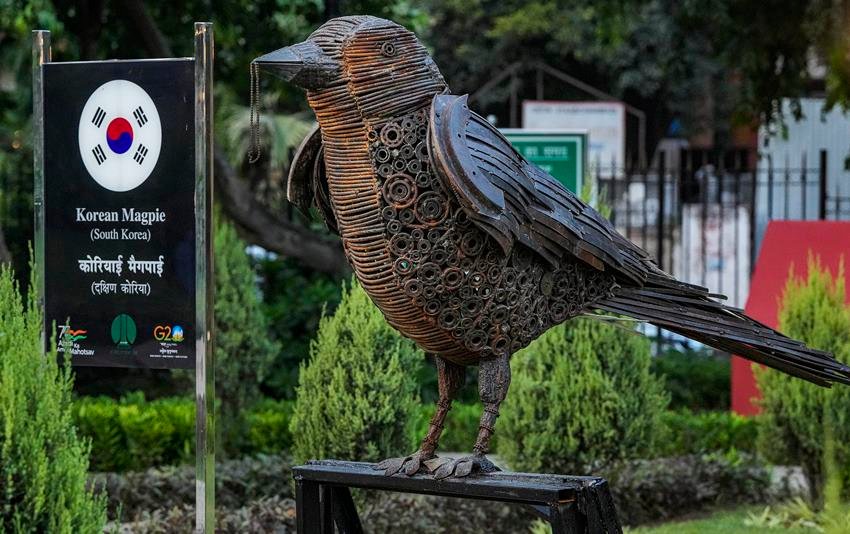 national bird of south korea